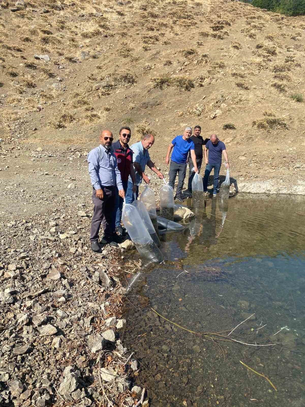 Tunceli’de doğal göle, 80 bin pullu yavru sazan bırakıldı
