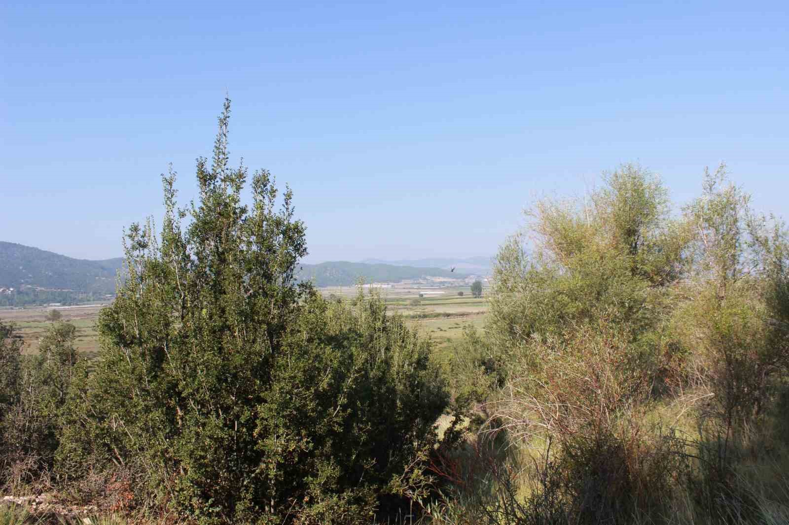 Burdur&rsquo;da 350 keklik doğaya salındı
