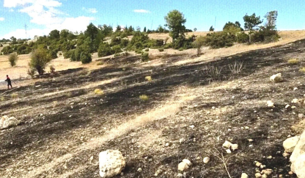 Emet&rsquo;te y&uuml;ksek gerilim hatlarına &ccedil;arpan kuşlar arazi yangınına neden oldu
