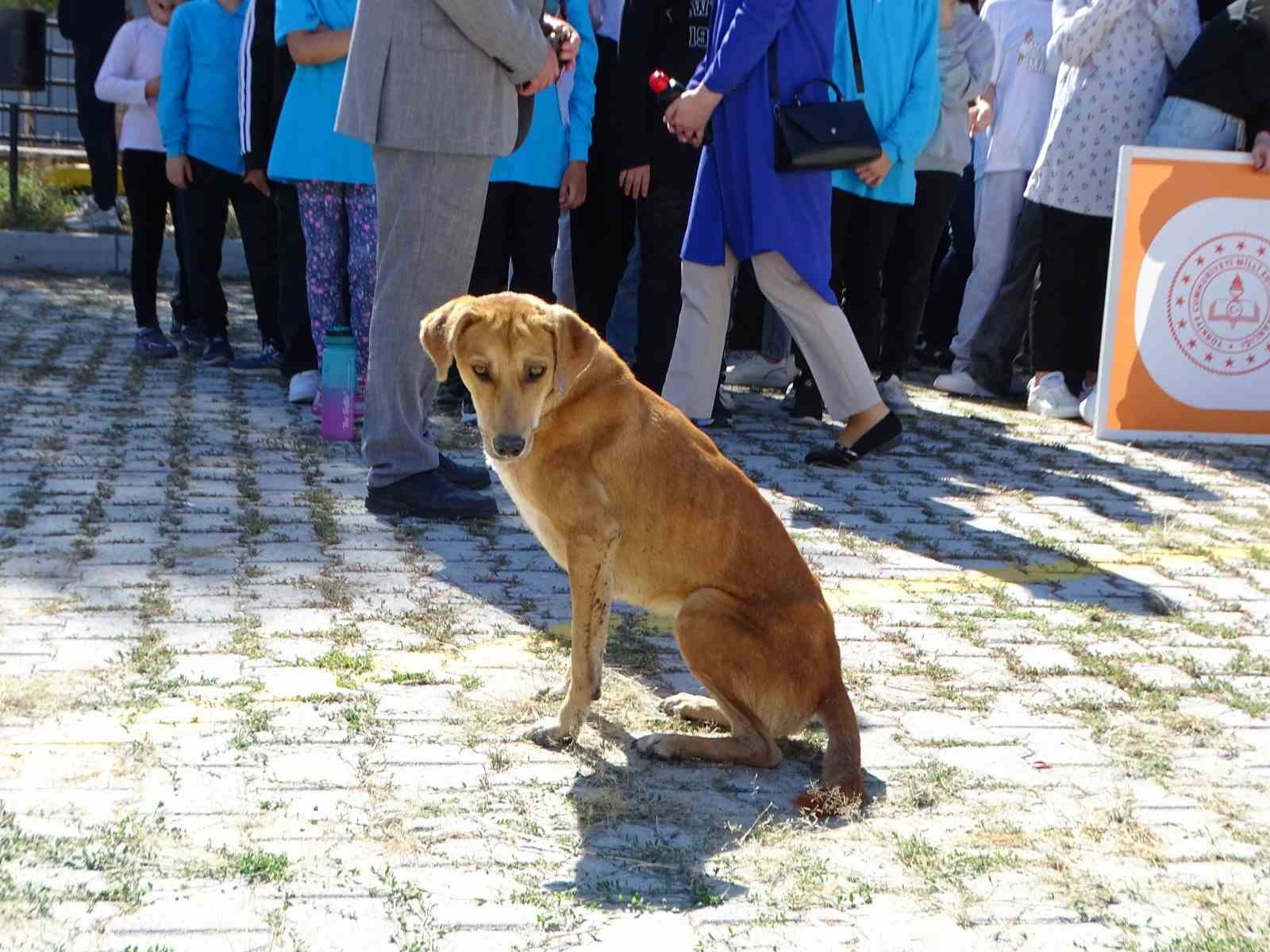 Hisarcık&rsquo;ta İlk&ouml;ğretim Haftası kutlamalarında sevimli k&ouml;pek ilgi odağı oldu
