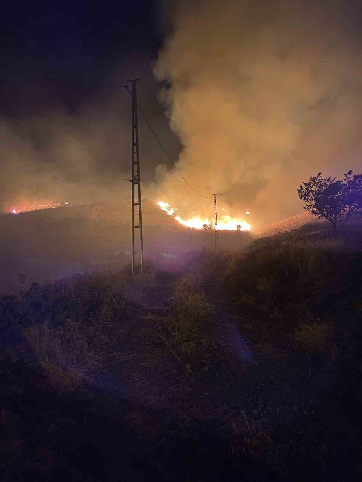 Muş’ta 3 ayrı alanda çıkan orman yangınları söndürüldü
