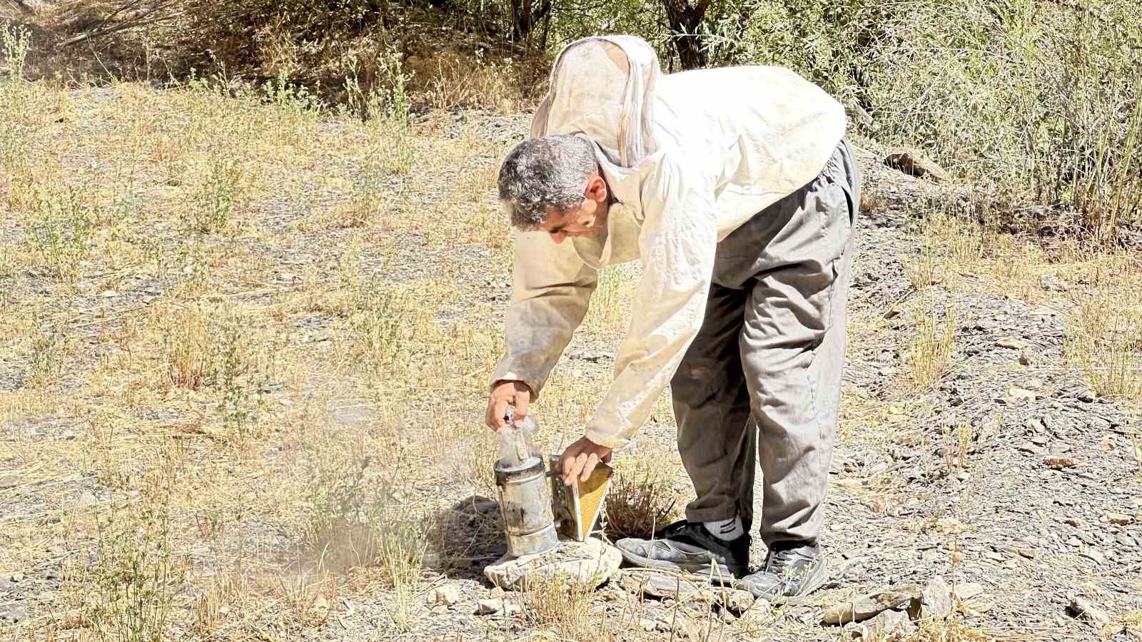 12 yıl önce Cilo Dağı’nda keşfettiği kaya balının kilosunu 3 bin TL’den satıyor
