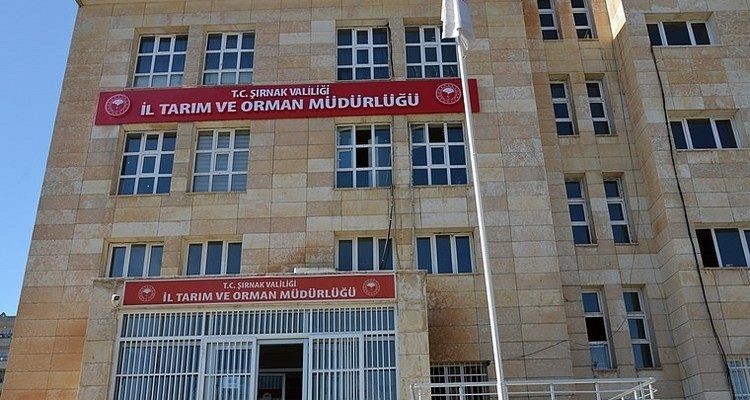 Şırnak’ta boş arı kovan desteği başvuruları başladı