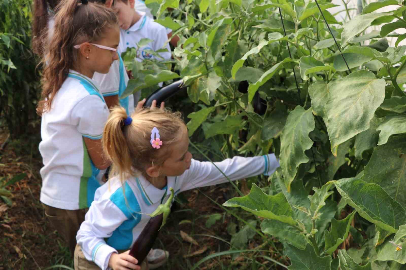 Okuldaki Çiftlik Projesi’nin ilk hasadını öğrenciler yaptı
