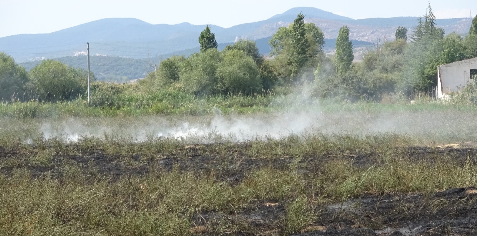 Tavşanlı’da korkutan yangın
