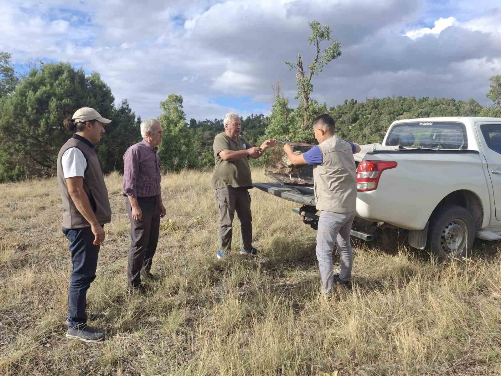 Isparta’da tedavi edilen mısır akbabası doğaya salındı
