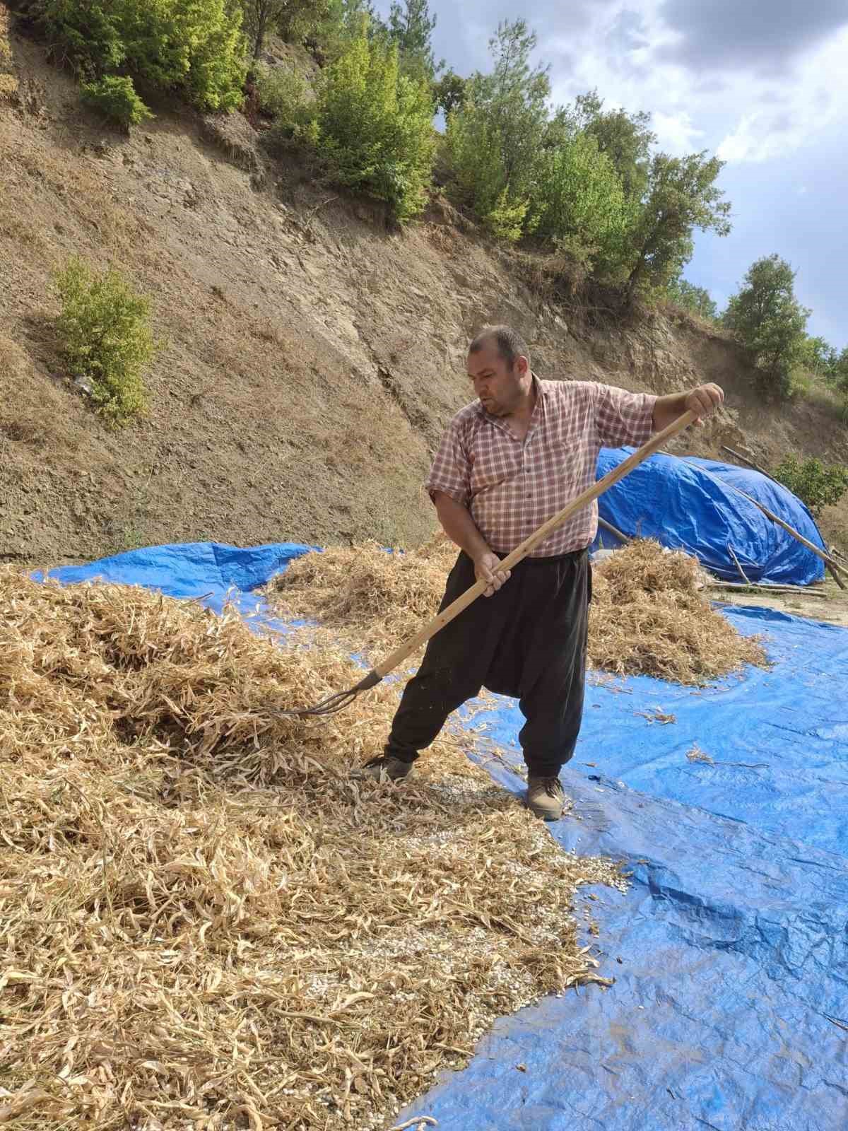 Lezzeti tescilli Tufanbeyli fasulyesi ilçe sınırlarını aştı
