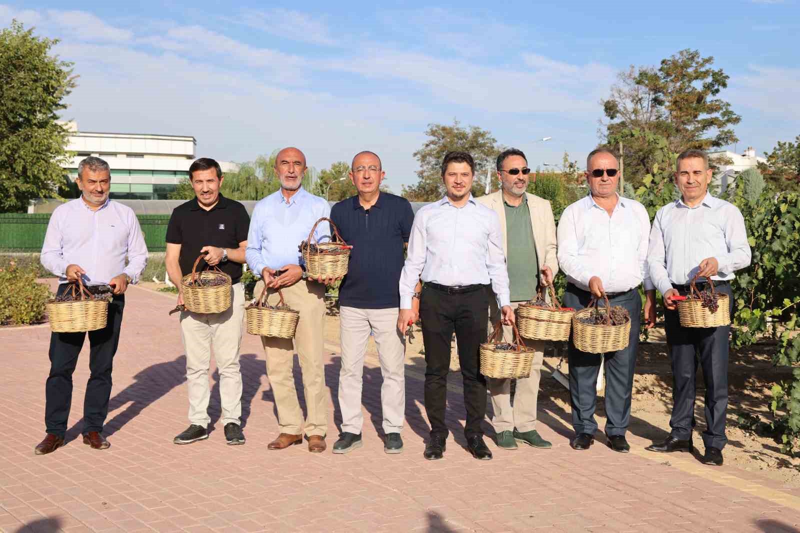 Pekmez ve bulgur kaynatma etkinliği için Meram Bağı’nda üçüncü kez kazanlar kuruldu
