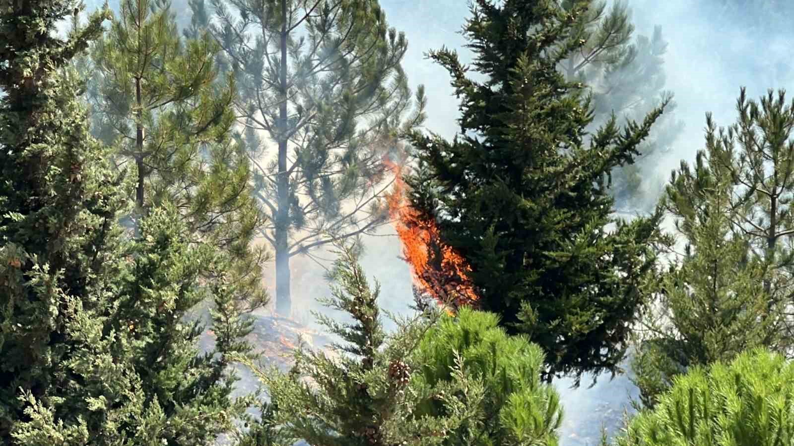 Kahramanmaraş’ta Şehitler Koruluğu’nda çıkan yangın söndürüldü