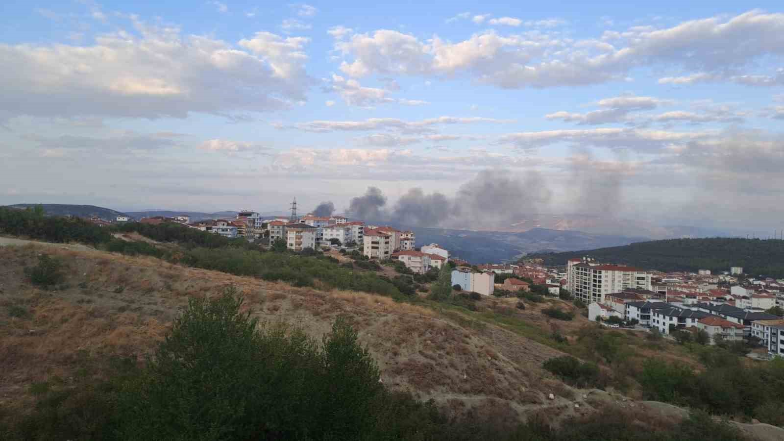 Bilecik’te çöplük yangını
