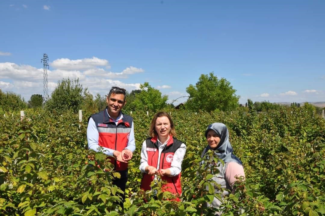 K&uuml;tahya&rsquo;da &rsquo;Ahududu Şenliği&rsquo; renkli g&ouml;r&uuml;nt&uuml;ler oluşturdu
