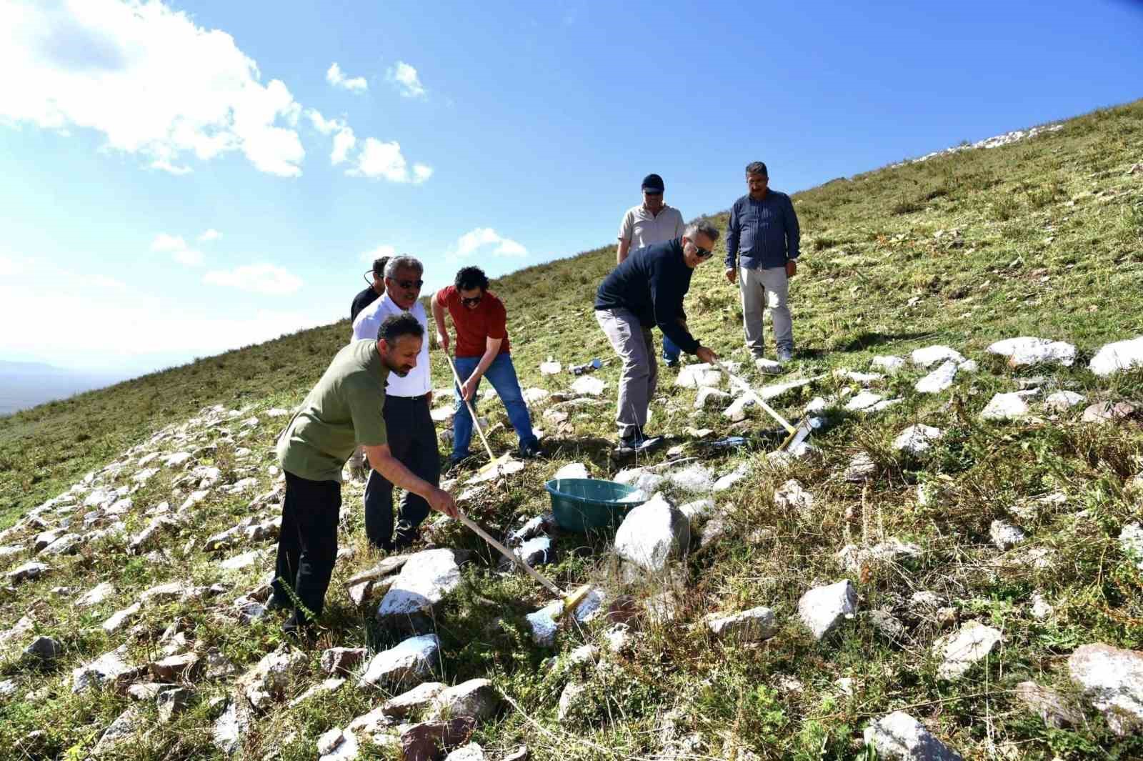 Ramazan Tabyasına ’Atlı Safari turu’
