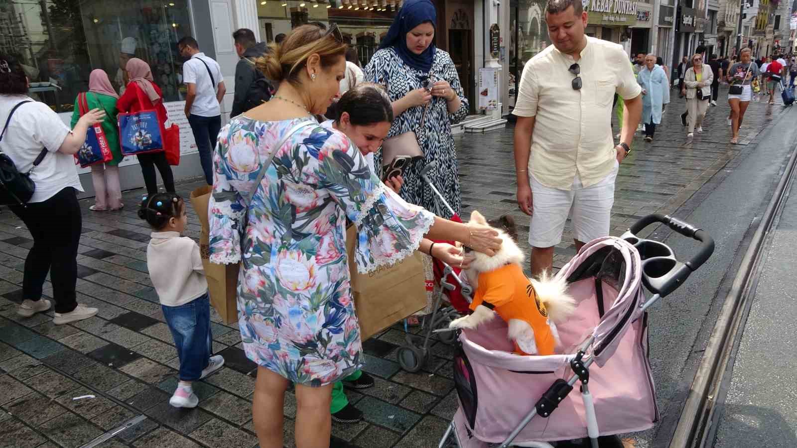 Taksim Meydanı’nda bebek arabasında gezdirilen köpek ilgi odağı oldu