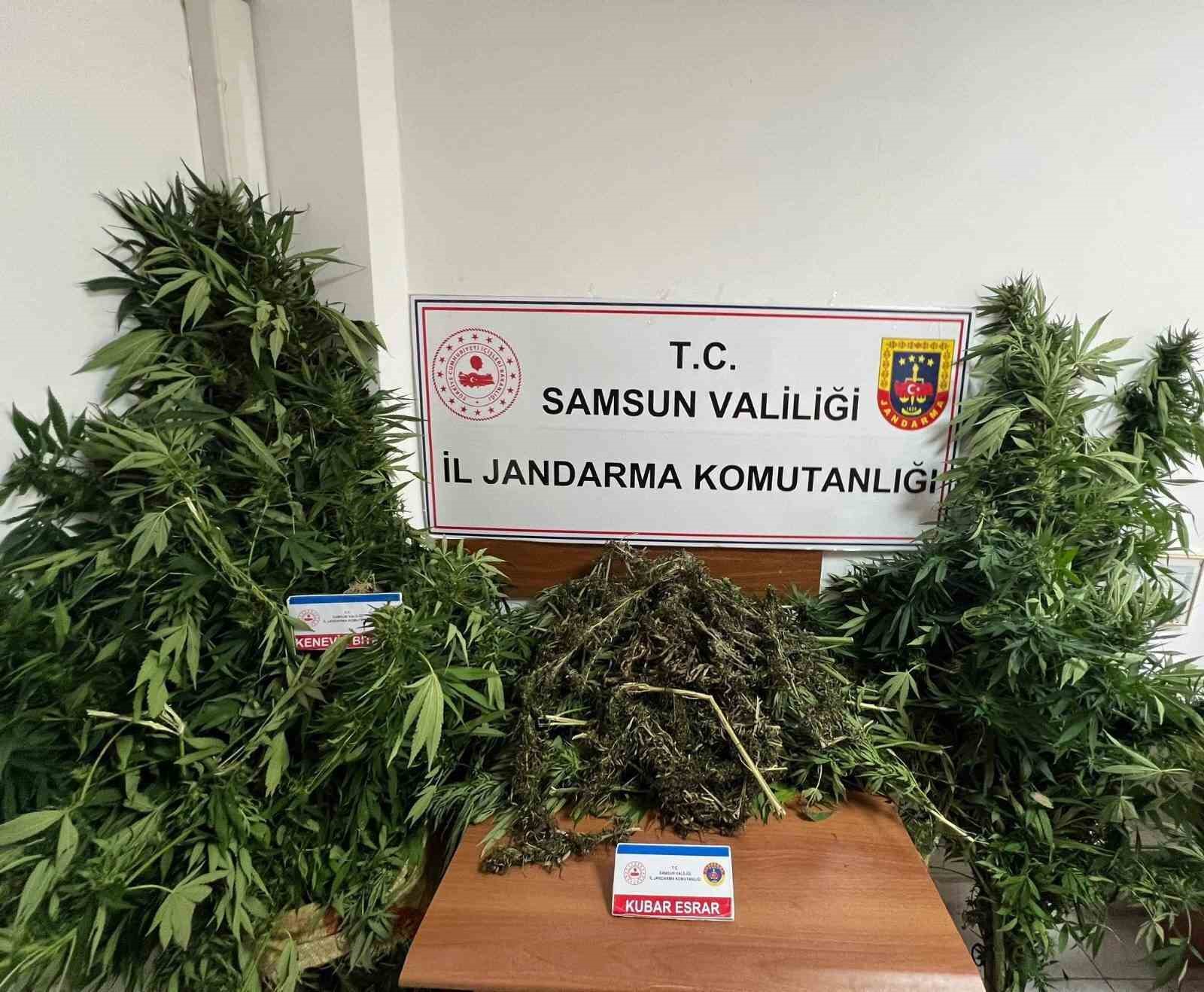 Jandarma 7 kilo kubar esrar ele geçirdi