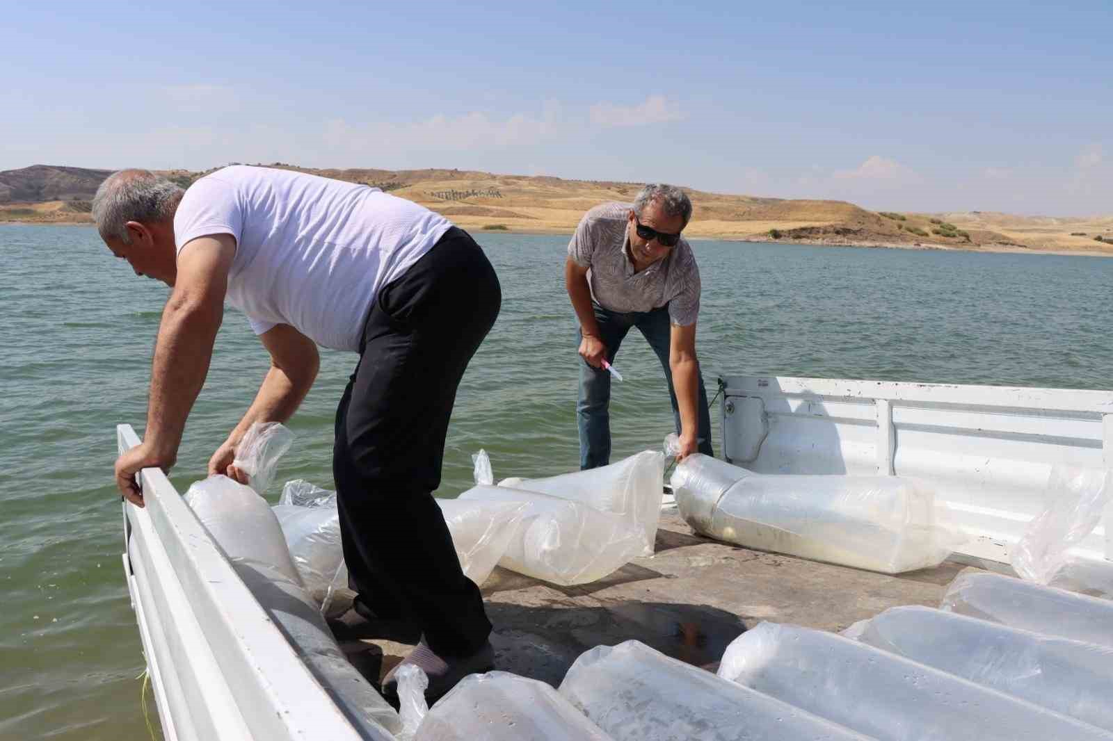 Baraj göletine 3 milyon 550 bin adet yavru balık bırakıldı