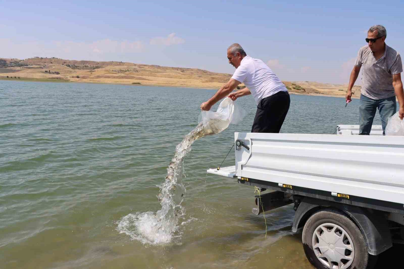 Baraj göletine 3 milyon 550 bin adet yavru balık bırakıldı
