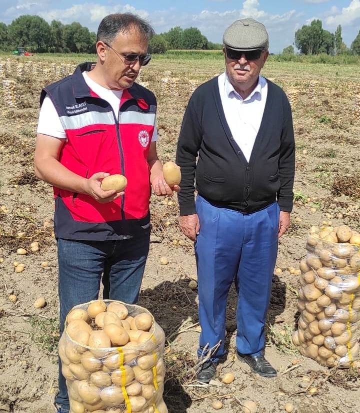 Altıntaş’ta patates ekiliş ve hasat kontrolleri
