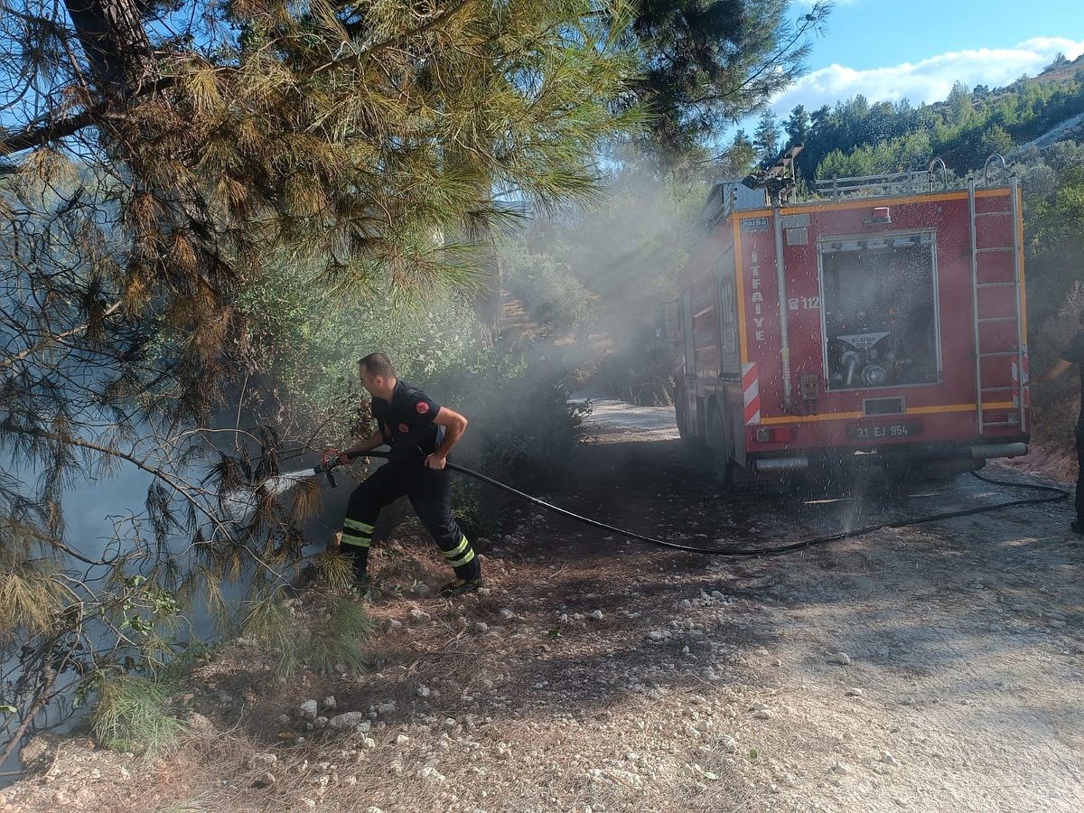 Yayladağı’nda örtü yangını