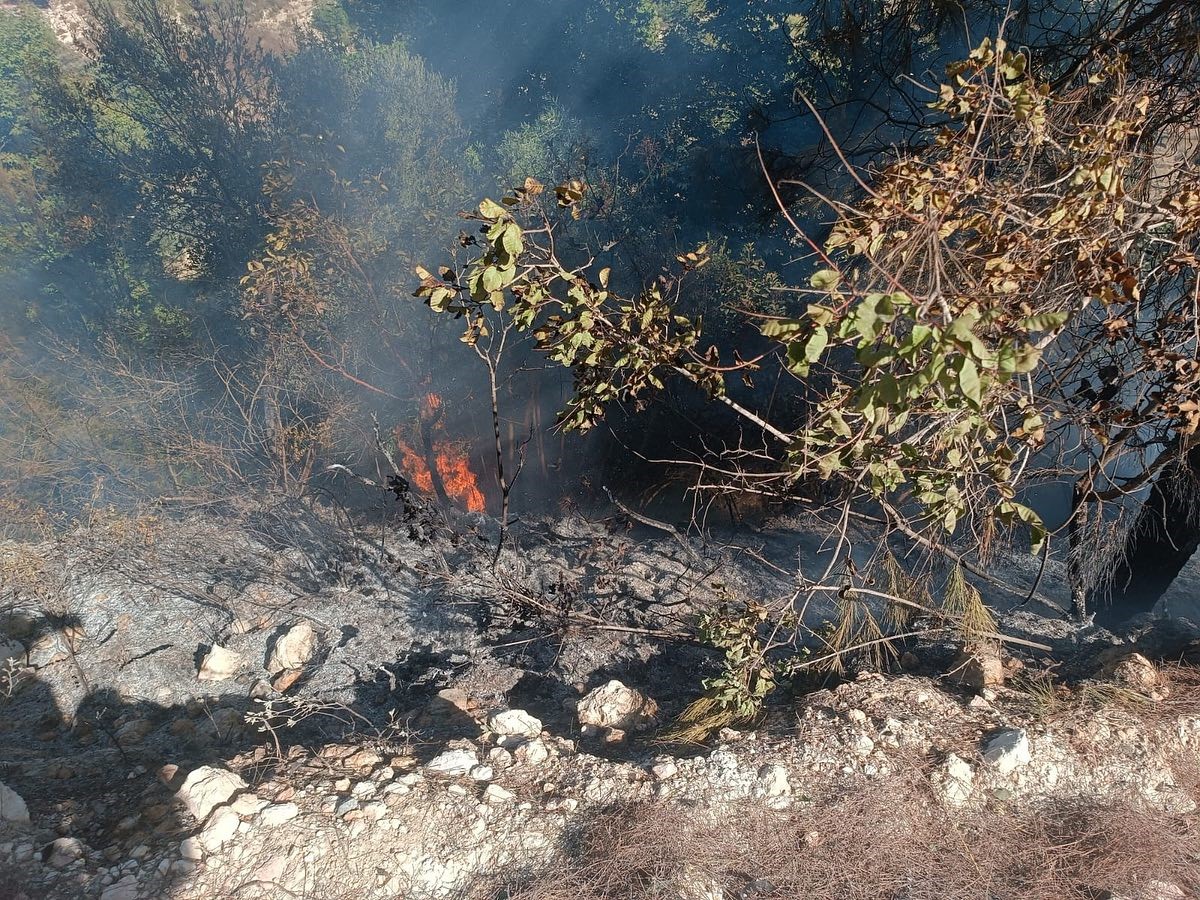 Yayladağı’nda örtü yangını