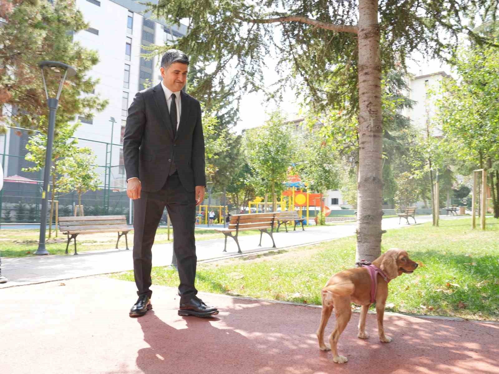 Ataşehir Belediyesi’nden sokak hayvanları için dikkat çeken mektup
