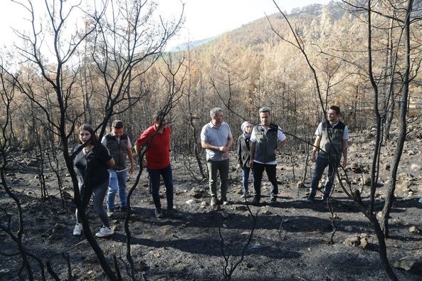 Yangın sonrası hızlı müdahale ve ağaçlandırma çalışmaları Muğla’da sürüyor