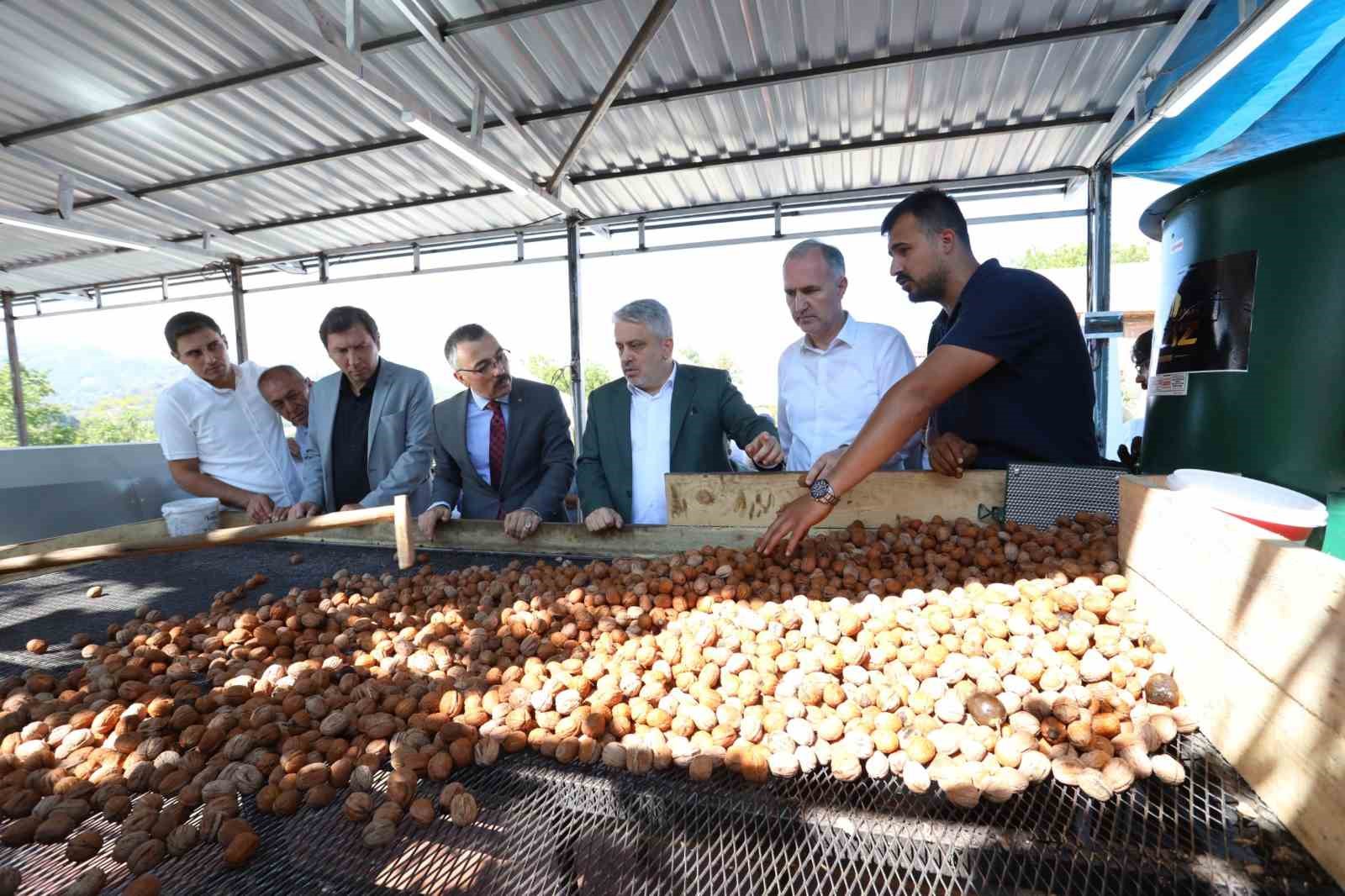 İnegöl’de hedef 42 bin ton ceviz