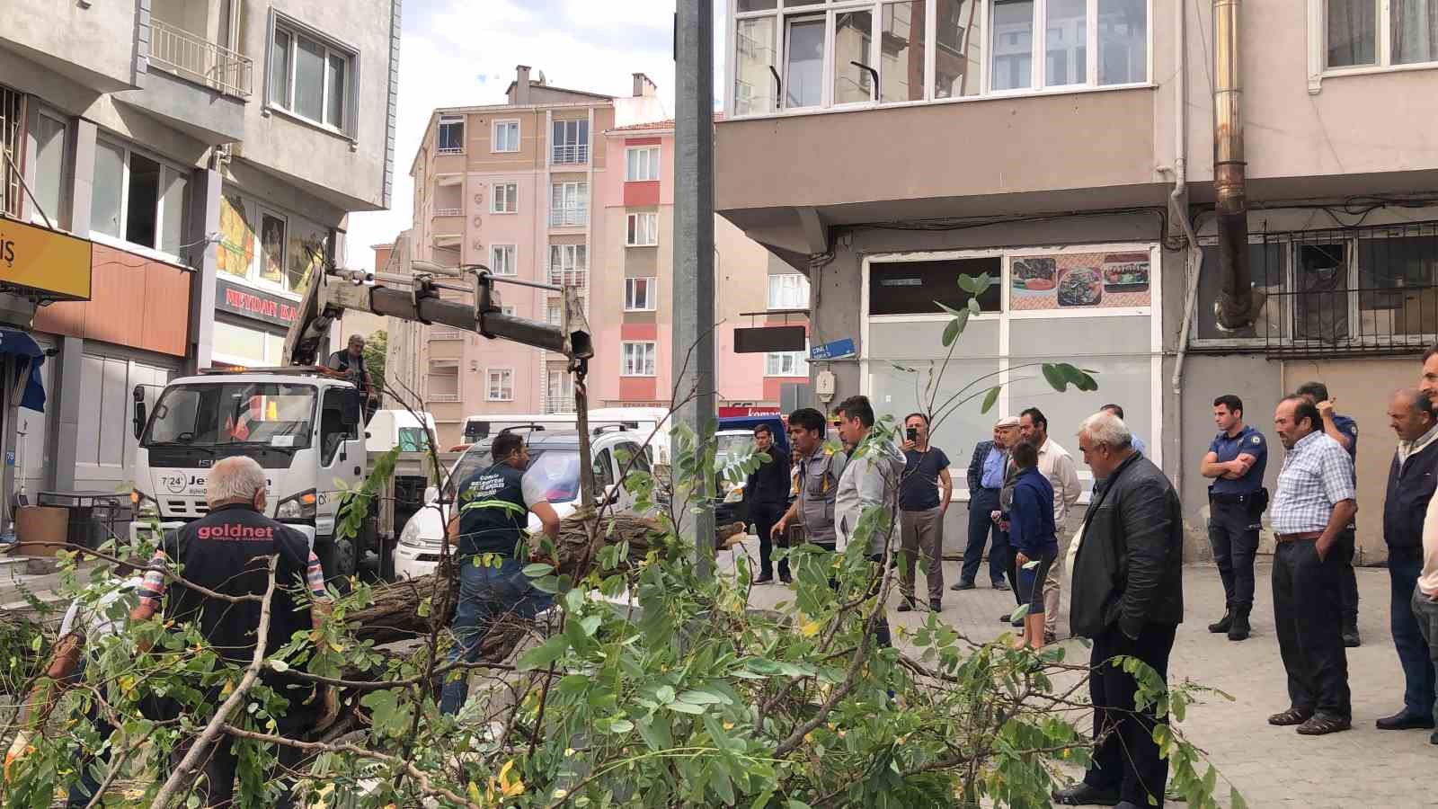 Üzerine ağaç devrilen otomobil hurdaya döndü: O anlar kamerada
