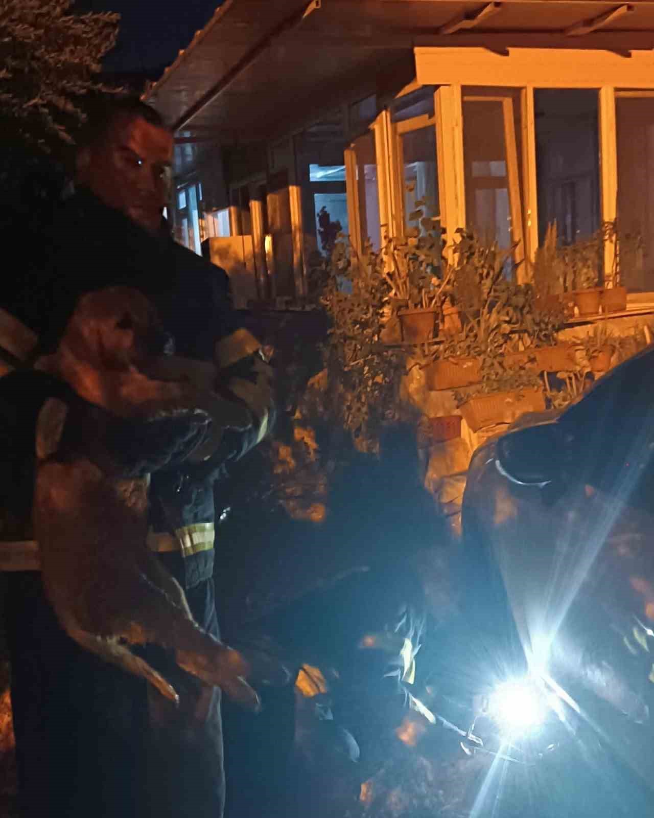 Otomobilin altında mahsur kalan köpeği itfaiye kurtardı
