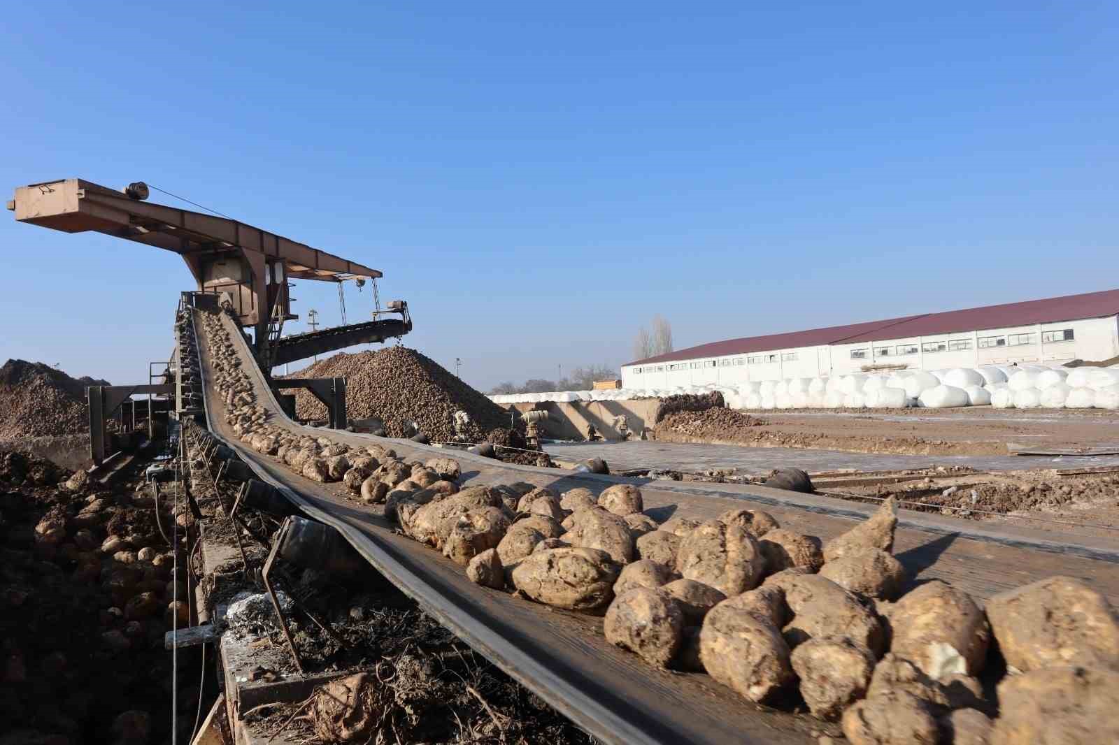 Malatya Şeker Fabrikası’nda hedef 55 bin ton şeker üretimi