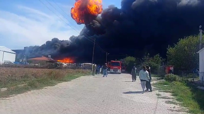 Tekirdağ’da fabrika yangını