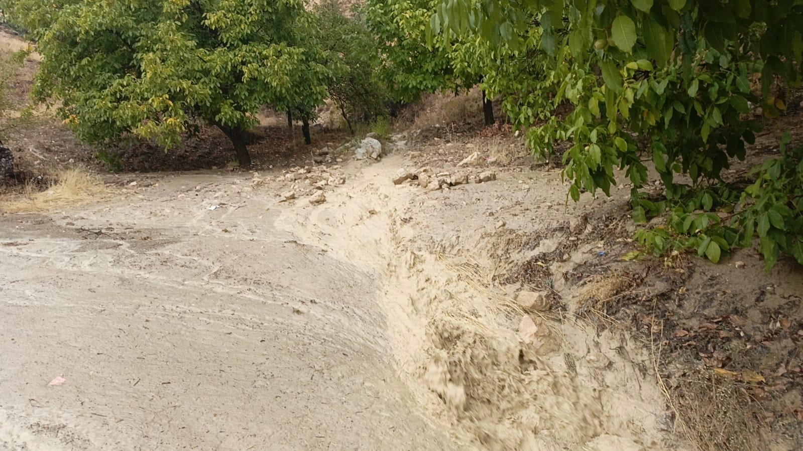 Elazığ’da sağanak yağış sele neden oldu