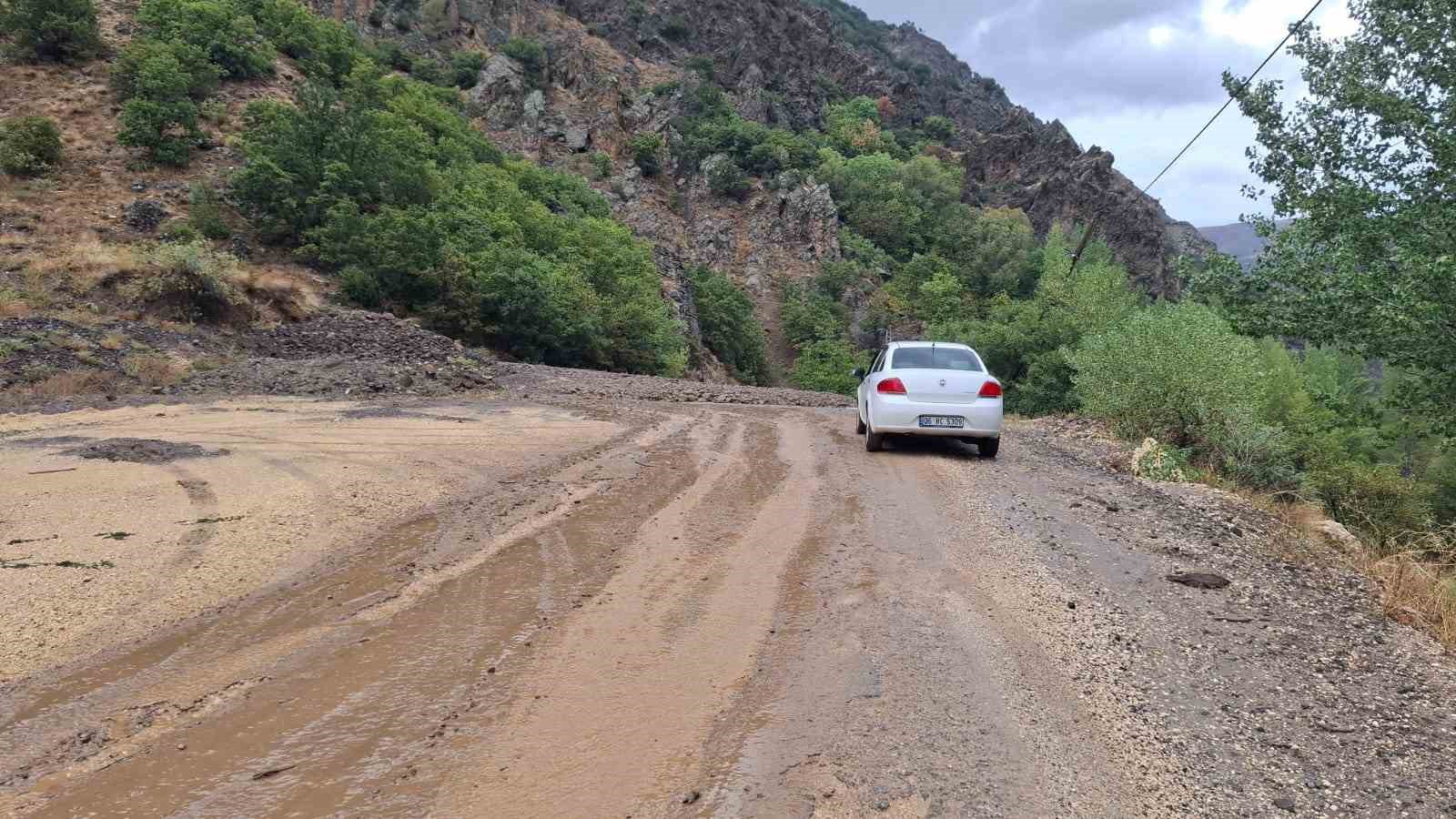 Tunceli’de sağanak yağış heyelana neden oldu
