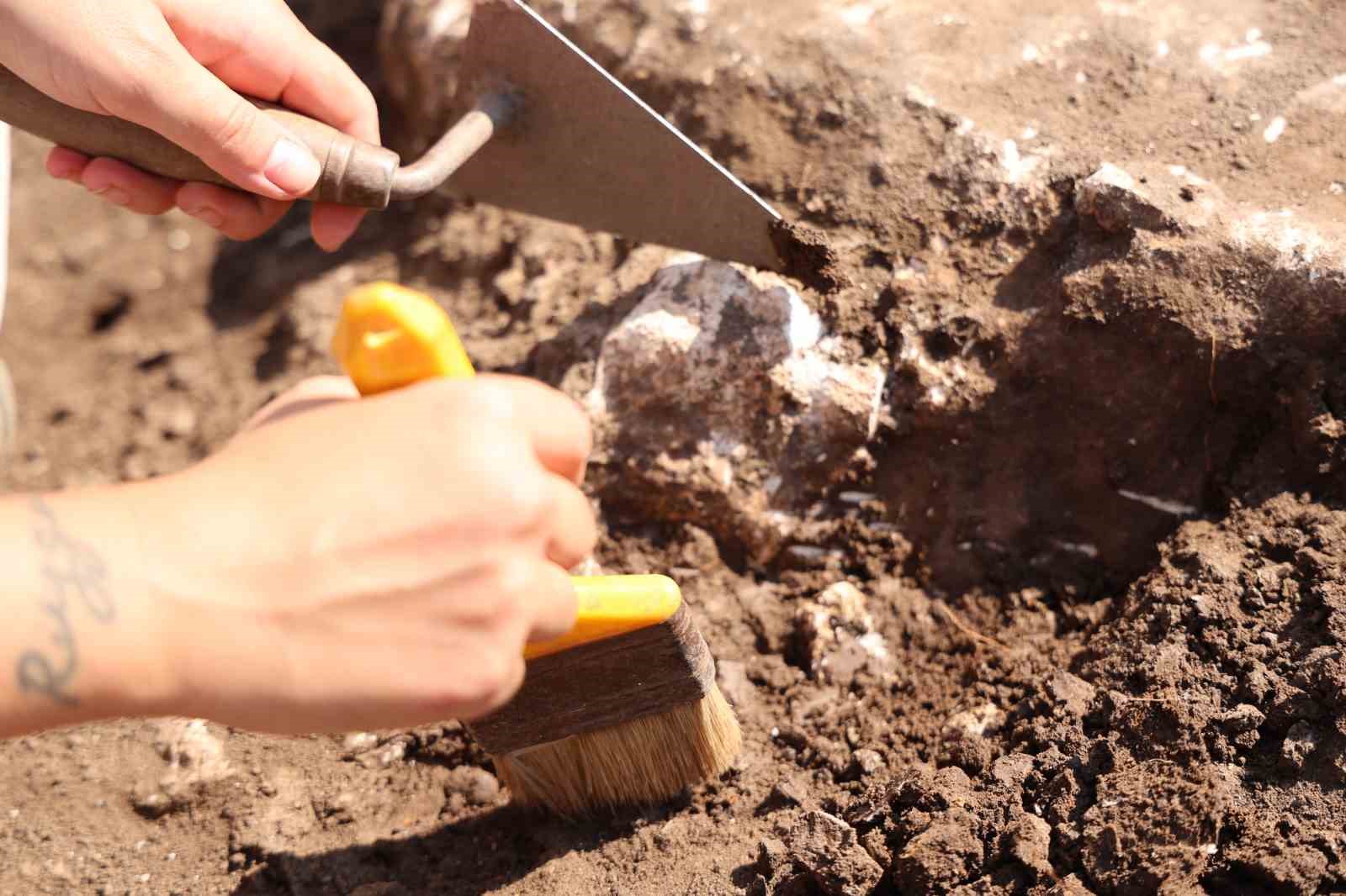 Çayönü Tepesi kazılarında 60 yıldır bilinmezliklerin ortaya çıkartılması için arkeolojik çalışmalar yeni dönemde de yürütülüyor
