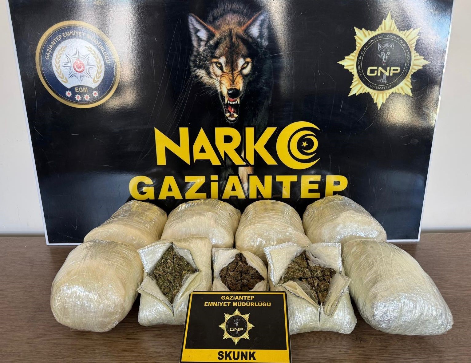 Gaziantep’te 5 kilo skunk ele geçirildi