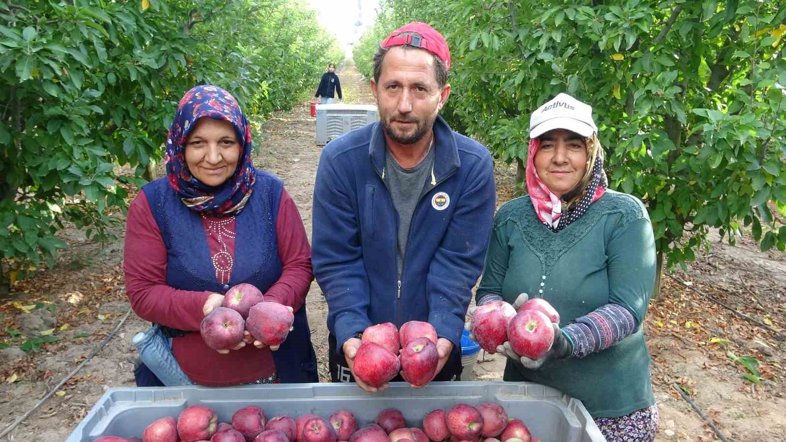 Türkiye’nin elma bahçesi Isparta’da hasat başladı