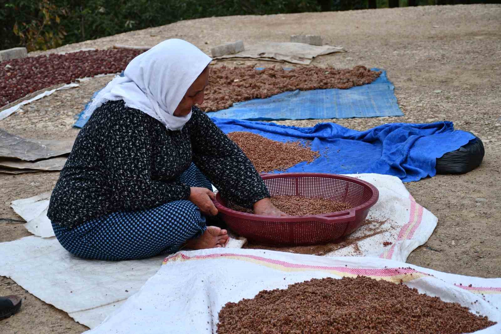 Şırnaklı aile sumak satarak geçimini sağlıyor