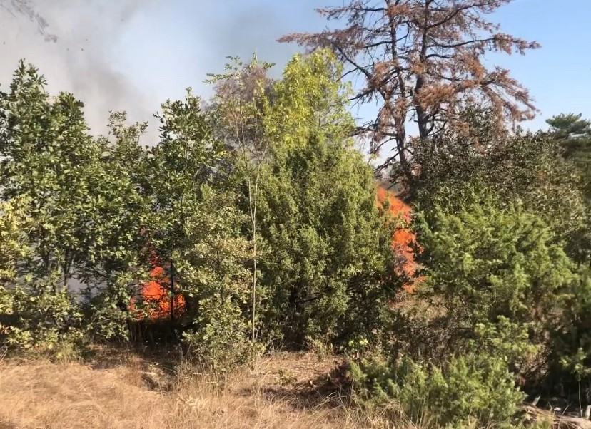 Uzunköprü’de ormanlık alanda korkutan yangın
