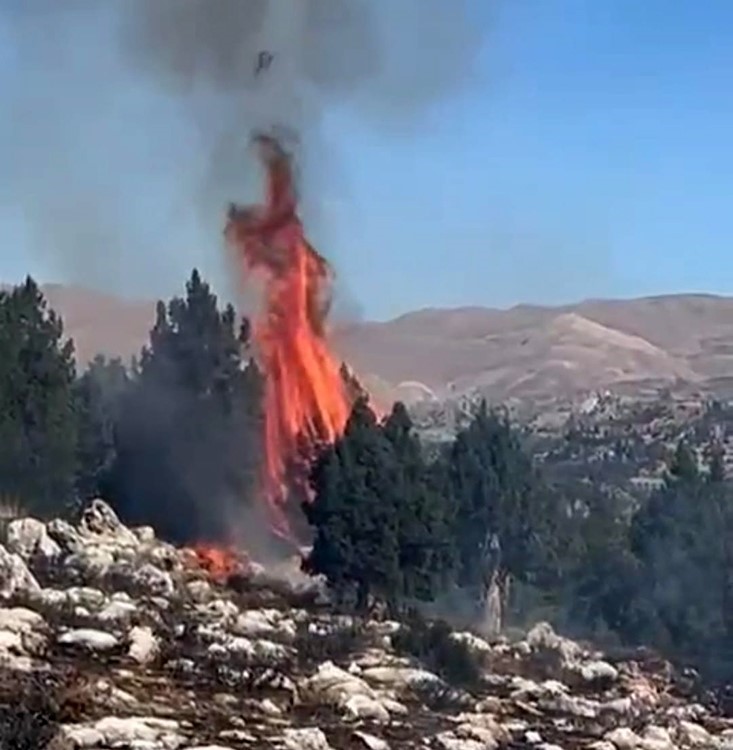 Kahramanmaraş’ta orman yangını söndürüldü