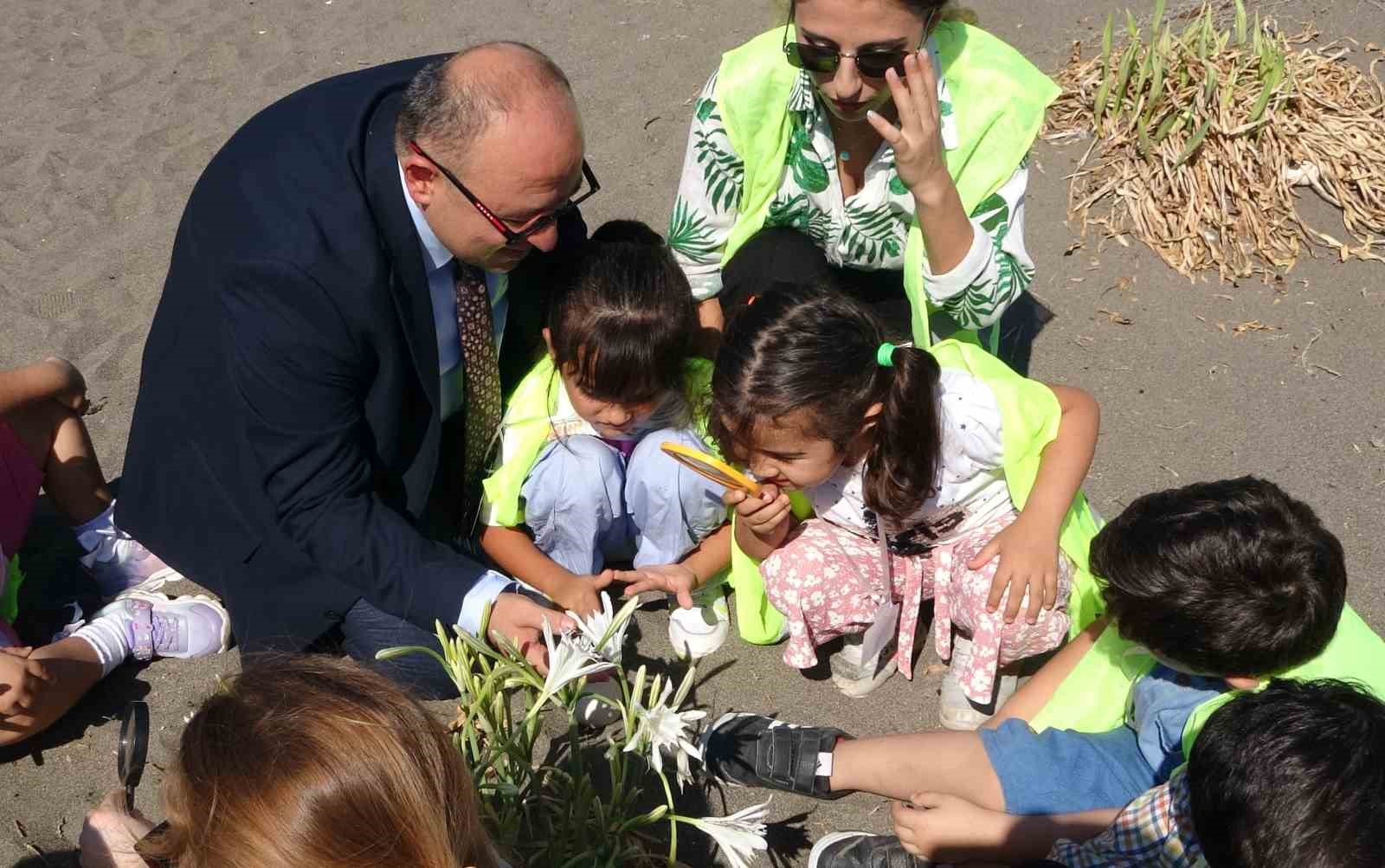 Sahiller kum zambaklarıyla doldu, &ccedil;ocuklar koruma altına aldı
