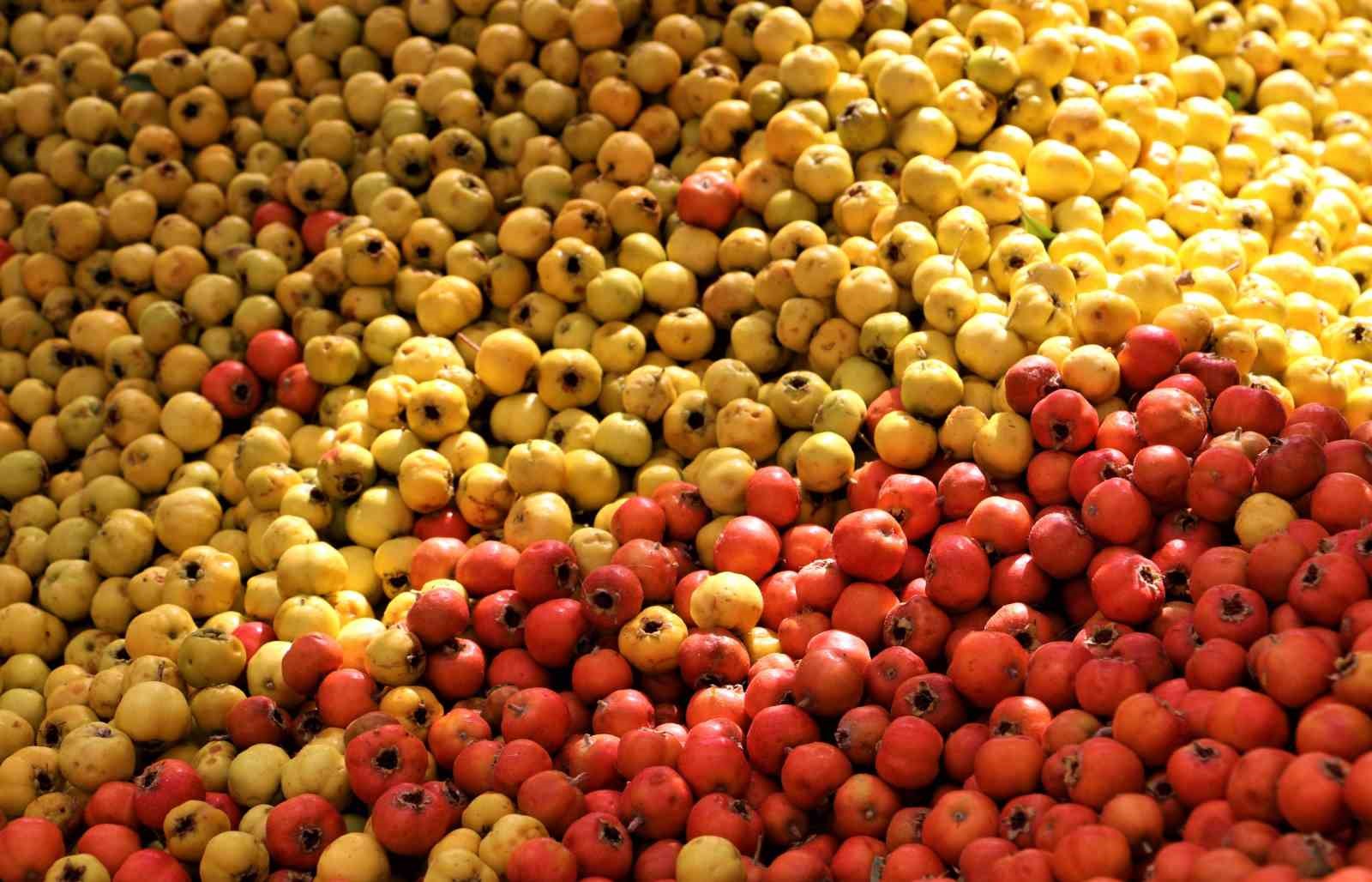 Sonbaharın aromatik meyvesi &lsquo;alı&ccedil;&rsquo; tezgahtaki yerini aldı
