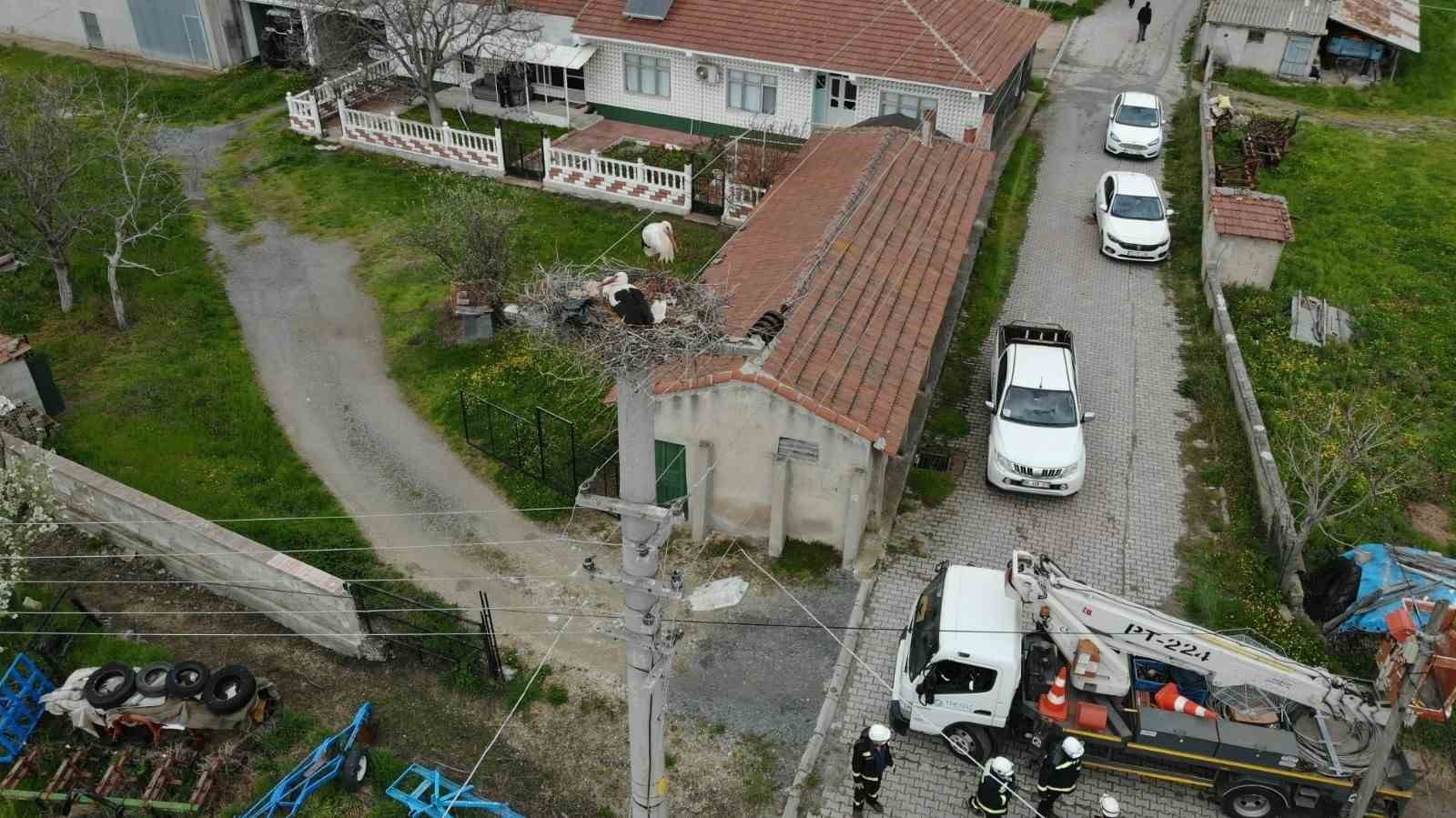 Termal kameralı dronlar aracılığıyla leylek yuvalarında bakım başlatıldı