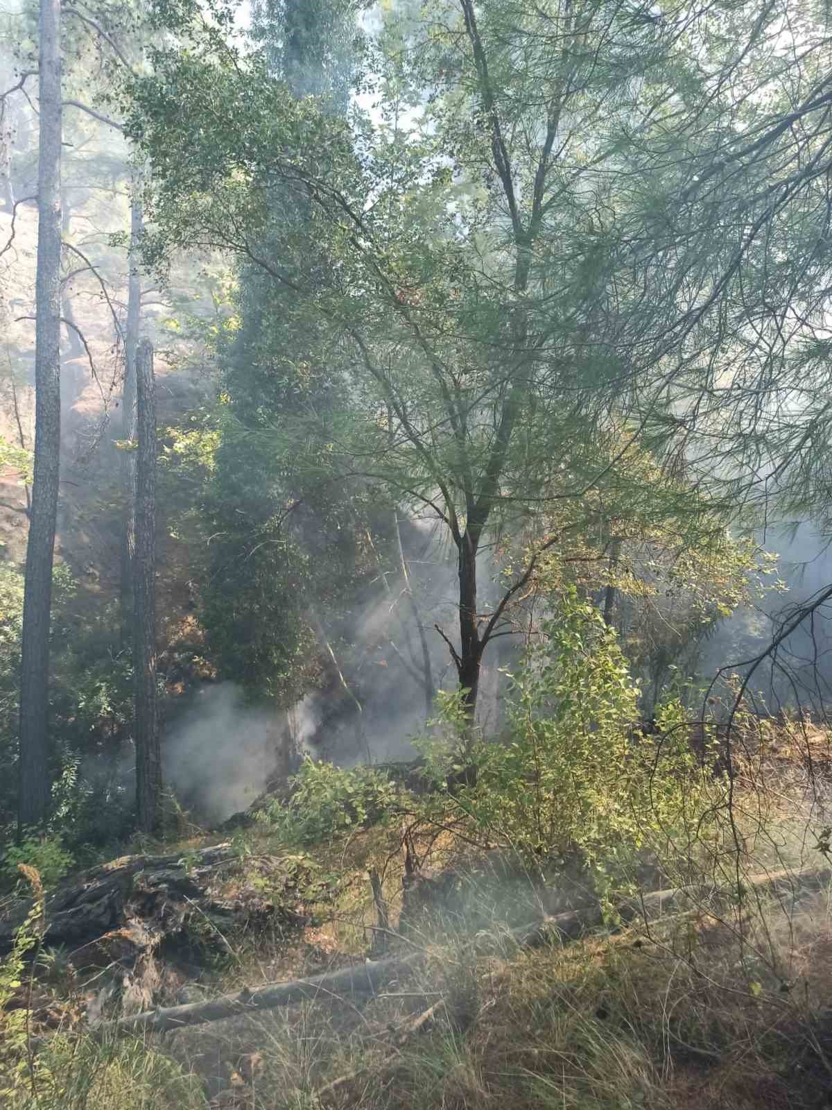 Kumluca’da orman yangını büyümeden söndürüldü
