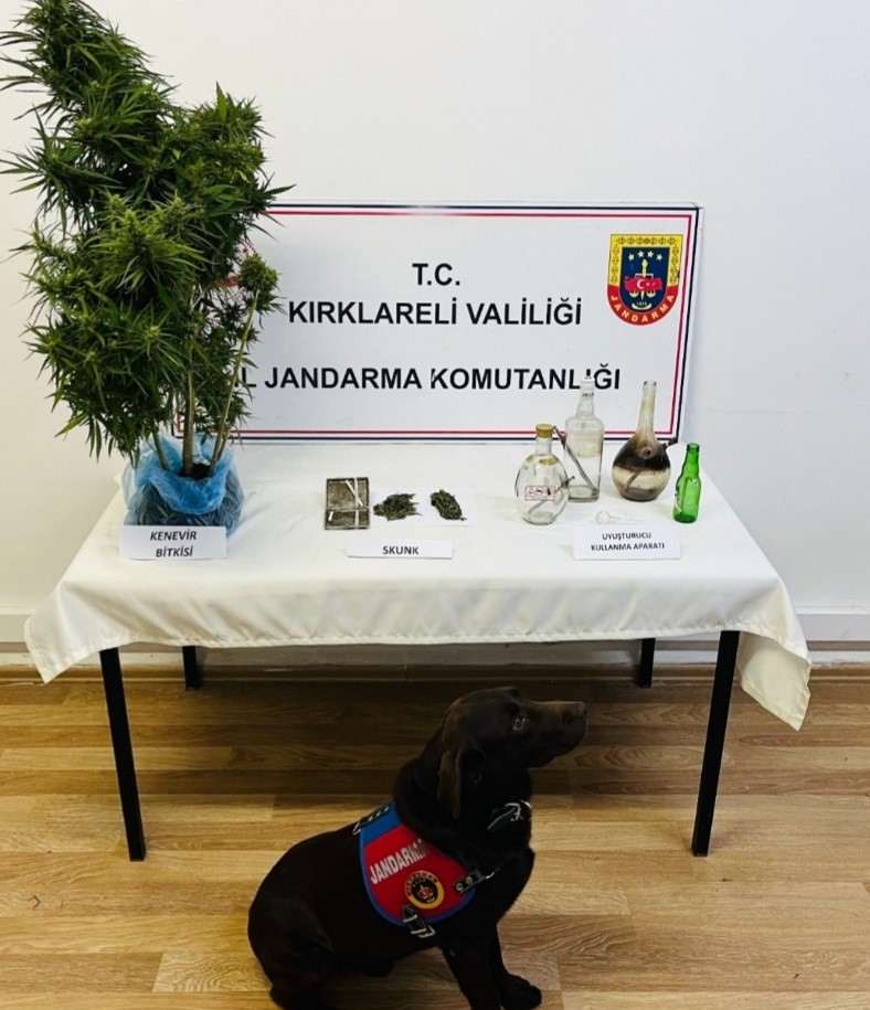 Kırklareli&rsquo;nde ka&ccedil;ak&ccedil;ılık operasyonu: 32 g&ouml;zaltı
