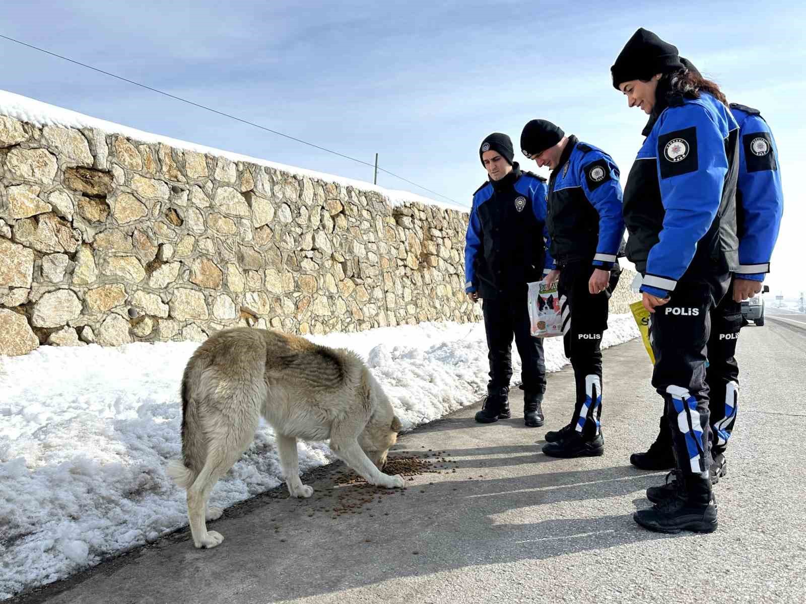 Yüksekova’da Başkomiser Selman Beğde’nin ilçeden ayrılması sevenlerini üzdü