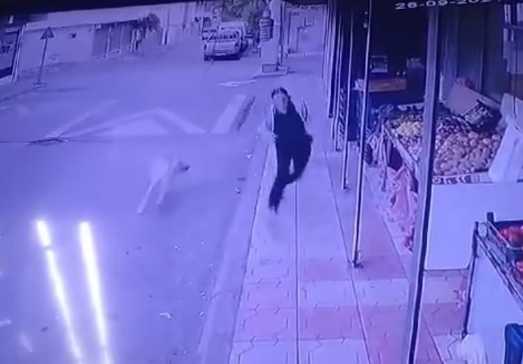 Başıboş sokak köpeğinden kaçtı düşüp markete sığınarak kurtuldu
