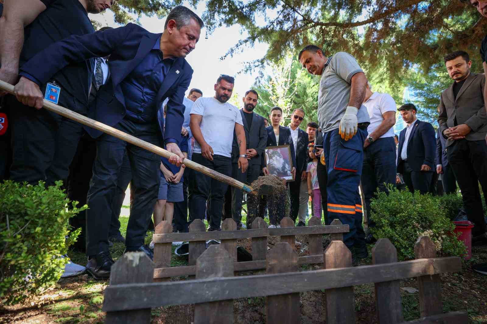 CHP’nin kedisi ’Şero’ Genel Merkez bahçesine defnedildi
