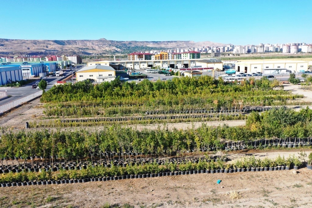 Başkan Çolakbayrakdar: "Türkiye’nin en kapsamlı fidanlığıyla Kayseri’mizin yeşil dokusunu çeşitlendiriyoruz”
