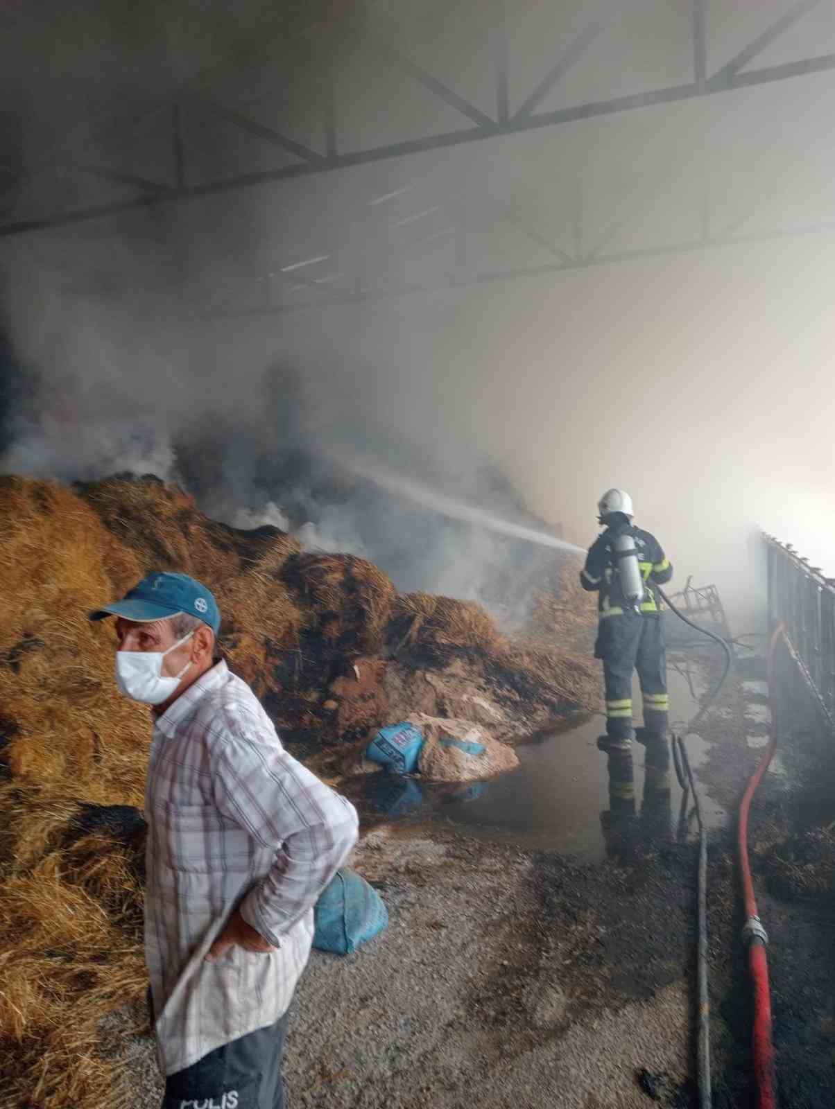 Samanlıkta çıkan yangında 250 balya saman kül oldu
