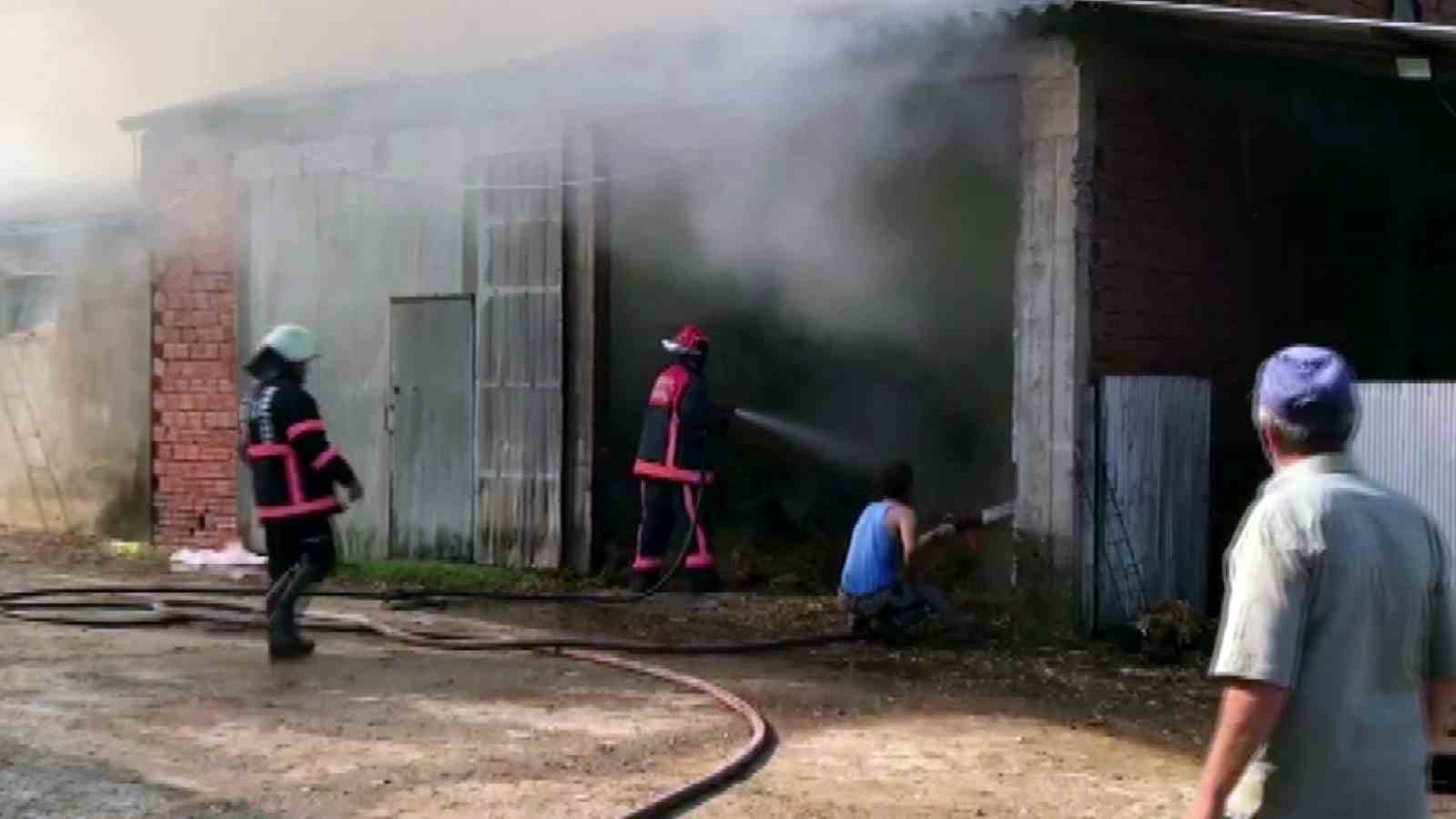 Sakarya’da 2 ahır ve 2 samanlık alevlere teslim oldu: 1 yaralı
