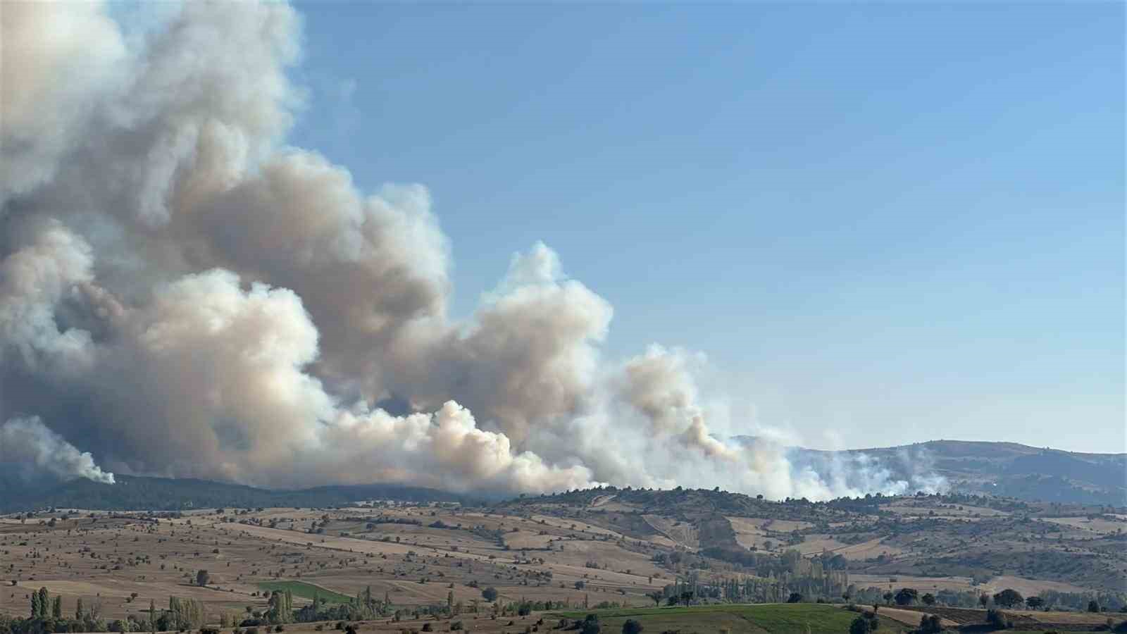 Uşak’taki orman yangınına müdahale sürüyor
